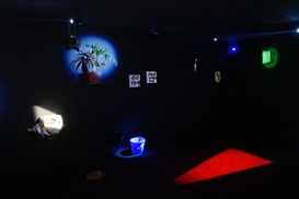 Laure Prouvost: They Are Waiting for You at Walker Art Center